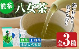 【ふるさと納税】福岡県産八女煎茶とティーバッグ(上煎茶・抹茶入り玄米茶)詰め合わせ(計650g) お茶 緑茶 八女茶 小分け 常温 常温保存【