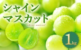 【ふるさと納税】皮ごと食べられる種なしぶどう シャインマスカット 1kg【先行予約 ぶどう 葡萄 ブドウ シャインマスカット マスカット 1