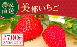 【ふるさと納税】【初物！農家直送】美都いちご（350g×2パック）【先行予約 果物 フルーツ 苺 いちご イチゴ 美都いちご 紅ほっぺ かお