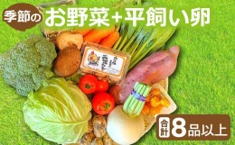 【ふるさと納税】新鮮！季節のお野菜と平飼い卵のセット（8〜10品）【野菜 やさい 旬の野菜 季節の野菜 おまかせ 新鮮 8〜10品 卵 たまご