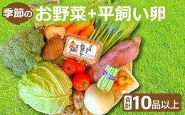 【ふるさと納税】新鮮！季節のお野菜と平飼い卵のセット（10〜12品）【野菜 10〜12品以上 季節の野菜 旬 新鮮 取れたて お楽しみ 卵 たま