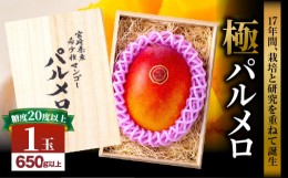 【ふるさと納税】《2024年発送》期間・数量限定 宮崎県産 希少種マンゴー (極)パルメロ 650g以上 糖度20度以上 1玉入り_M223-002