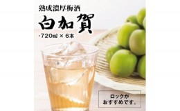 【ふるさと納税】熟成濃厚梅酒白加賀(720ml×6本)【1292010】