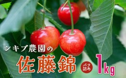 【ふるさと納税】【令和6年産先行予約】 佐藤錦 バラ詰め(M〜Lサイズ混合) 1kg（500g×2） 山形県鶴岡産　シキブ農園　B03-608