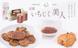 【ふるさと納税】天草いちじく美人 | 菓子 お菓子 スイーツ 洋菓子 イチジク いちじく 無花果 ドライフルーツ ジャム クッキー セット 熊