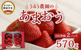 【ふるさと納税】うるう農園のあまおうDX等級 2パック（570g）