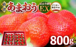 【ふるさと納税】厳選あまおう　800g