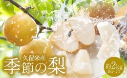 【ふるさと納税】久留米産　季節の梨（約2kg）