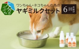 【ふるさと納税】【T10034】【定期便】ワンちゃん・ネコちゃんの為のヤギミルクセット 900ml×1本、200ml×4本（6回お届け）ペットフード