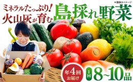 【ふるさと納税】【定期便/全4回】島採れ野菜 086-01【野菜 果物 新鮮 島採れ 松江 定期便】