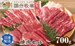 【ふるさと納税】【焼肉用700g】国分牧場 焼肉セット（三角バラ・トモサンカク・上カルビ・バラカルビ・イチボ・シンタマ・ウチモモ・ミ