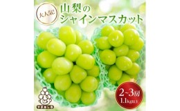 【ふるさと納税】大人気!山梨のシャインマスカット2〜3房　1.1kg以上 ふるさと納税【1274436】