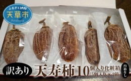 【ふるさと納税】S111-004_【訳あり】天寿柿　10個入り化粧箱（内箱なし）