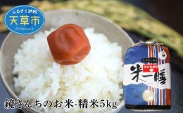 【ふるさと納税】S050-007_【令和5年産】コシヒカリ 精米 5kg