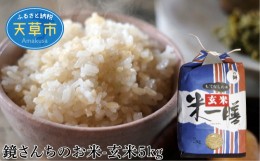 【ふるさと納税】S050-008_【令和5年産】コシヒカリ 玄米 5kg