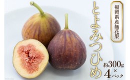 【ふるさと納税】【先行受付】福岡県産無花果 やわらかく とろけるような甘さと食感 「とよみつひめ」約300g× 4パック / 南国フルーツ /