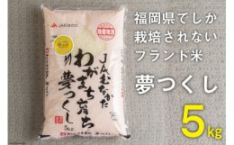 【ふるさと納税】いつもの食卓に 「ちょっと贅沢な」福岡の美味しいお米 福岡の米 夢つくし 5kg / 南国フルーツ / 福岡県 筑紫野市