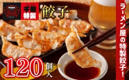 【ふるさと納税】「 玉名拉麺 千龍 」 特製 餃子 120個 | 食品 中華 ぎょうざ 特製餃子 熊本県 玉名市