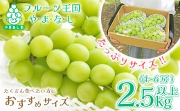 【ふるさと納税】山梨県産シャインマスカット2.5kg以上(4〜6房) ふるさと納税【1272527】