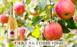 【ふるさと納税】先行予約 kanonzすぱあくりんご「 シードル 」720ml