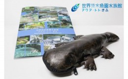 【ふるさと納税】507 世界淡水魚園水族館　アクア・トトぎふ　オオサンショウウオペンケース＋ガイドブック