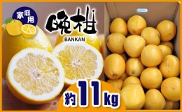 【ふるさと納税】≪ご家庭用≫ 晩柑 約11kg | フルーツ 果物 くだもの 柑橘 ミカン みかん オレンジ 熊本県 玉名市