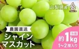 【ふるさと納税】 農園直送 ! 濃厚 シャインマスカット 約 1kg ( 1〜2房) _ ふるさと納税 シャインマスカット フルーツ 果物 ぶどう ブド