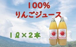 【ふるさと納税】信州１００％リンゴジュース（1L瓶×2本）(A-06)