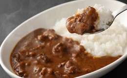 【ふるさと納税】馬スジのカレー 10食 2.1kg（210g×10）馬肉