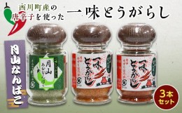 【ふるさと納税】FYN9-528 山形県西川町 月山なんばこ (一味唐辛子) 3本セット 《9月中旬より発送》 激辛 一味 青唐辛子 とうがらし 香辛