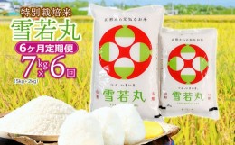 【ふるさと納税】【令和6年産先行予約】 特別栽培米雪若丸 7kg (5kg+2kg) ×6ヶ月【定期便】 山形県鶴岡産　鶴岡協同ファーム