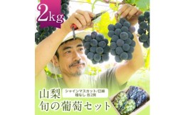 【ふるさと納税】山梨　旬の葡萄セット2kg(シャインマスカット2房、巨峰2房)(種なし)【1308168】