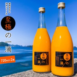 【ふるさと納税】DE6106n_田村みかんジュース 至極の一滴 720ml×2本