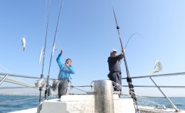 【ふるさと納税】釣り船魚英　乗船券3枚