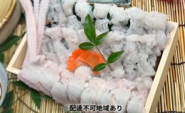 【ふるさと納税】肉厚！ふっくら！厳選でん助穴子しゃぶしゃぶ鍋セット（4〜5人前）［穴子 あなご アナゴ 鍋 しゃぶしゃぶ］