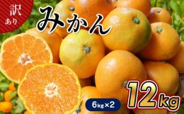 【ふるさと納税】【6キロ×2箱】 たまな産　温州みかん12kg