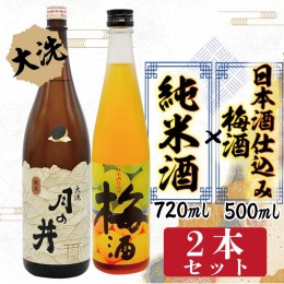 【ふるさと納税】日本酒 純米酒 日本酒 仕込み 梅酒 2本 セット 月の井 大洗 地酒