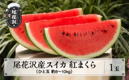 【ふるさと納税】先行予約 尾花沢産スイカ 紅まくら (約8~10kg)×1玉 8月上旬〜中旬頃発送 令和6年産 2024年産 観光物産 kb-submx1