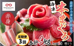 【ふるさと納税】【定期便】【3ヶ月連続お届け】 刺身用！本マグロ 赤身（柵どり）1kg × 3回 【最新の冷凍技術】[I-11005]