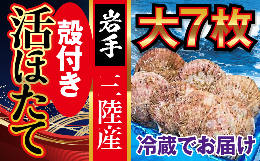 【ふるさと納税】■朝獲れ 三陸【 活ホタテ 】セット ( 大 7枚 ) 生食用 殻付き｜新鮮 大粒 活 ほたて ホタテ大粒 厳選 三陸産 海鮮 肉厚