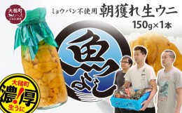 【ふるさと納税】生うに 牛乳瓶 150g×1本［08］【4月下旬〜発送】