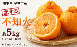 【ふるさと納税】恋する不知火 約5kg（15〜22玉）御舩果樹園 果物 柑橘【2024年3月下旬〜順次発送予定】