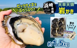 【ふるさと納税】浜崎水産の天草天領岩かき 約1.5kg | 海鮮 海産物 海の幸 シーフード 魚貝類 かき 牡蠣 岩かき 岩牡蠣 夏牡蠣 生食用 生