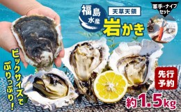 【ふるさと納税】福島水産の天草天領岩かき 約1.5kg | 海鮮 海産物 海の幸 シーフード 魚貝類 かき 牡蠣 岩かき 岩牡蠣 夏牡蠣 生食用 生