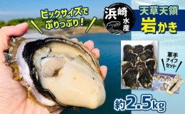 【ふるさと納税】浜崎水産の天草天領岩かき 約2.5kg | 海鮮 海産物 海の幸 シーフード 魚貝類 かき 牡蠣 岩かき 岩牡蠣 夏牡蠣 生食用 生