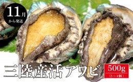 【ふるさと納税】三陸産 活アワビ 約500g ( 3〜4個)【期間限定】｜11月〜12月発送 冷蔵 岩手県 大槌町 あわび 人気 鮑 いわて iwate 2024