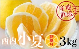 【ふるさと納税】【訳アリ】西内小夏　3kg　N42