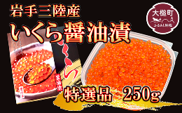 【ふるさと納税】岩手三陸産 大粒 いくら醤油漬 250g×1個