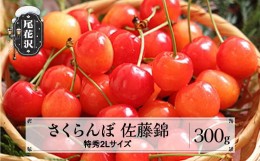 【ふるさと納税】先行予約 さくらんぼ 佐藤錦 特秀2Lサイズ プレゼント ギフト 化粧箱入 300g 2024年産 令和6年産 山形県産 ns-snt2x300