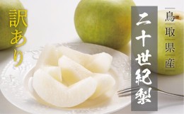 【ふるさと納税】【訳あり】二十世紀梨 4kg